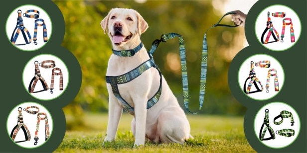 How To Clean & Maintain Your Medium Dog Harness For&nbsp;Longevity