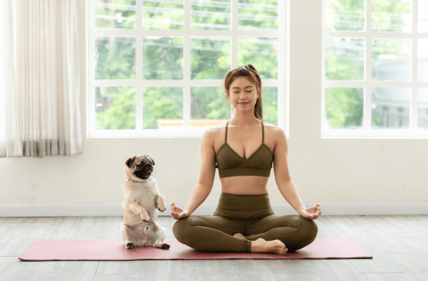 Natural Remedies for Anxious&nbsp;Dogs